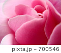 バラ