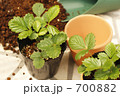 緑を植えよう！