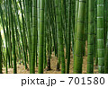 竹林
