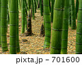 竹林