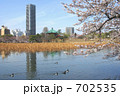 さくら咲く不忍池