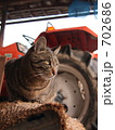 トラクターと猫