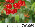 完熟さくらんぼ