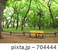 井の頭公園の雑木林