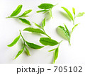 茶葉の新芽