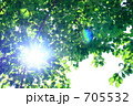 新緑_002