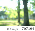 初夏の公園