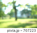 初夏の公園