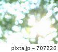 木漏れ日