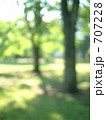 初夏の公園