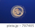 水中花