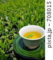 茶畑 de 新茶