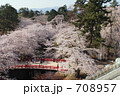 天守閣から見た下乗橋　- 弘前公園