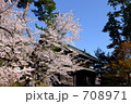 桜と弘前城南内門