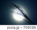 月見のイメージ3