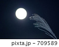 月見のイメージ6