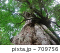 709756