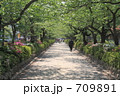 散歩道