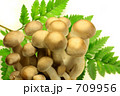 シメジ