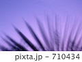 夕暮れ