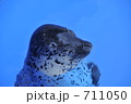 のんびりやさん
