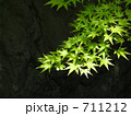 新緑　１