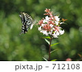 花とアゲハ