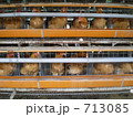 鶏舎