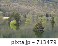 樹木