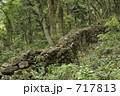 熊野古道　猪垣