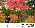 京都の紅葉