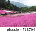 羊丘公園芝桜