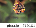 719181