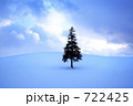 クリスマスツリーの木