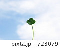 見上げてる四ツ葉