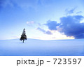 クリスマスツリーの木.