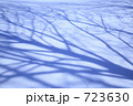 雪原の影