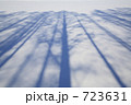 雪原の影