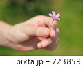 小さい花