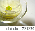 水面の開花
