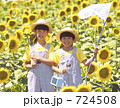 ひまわりと虫網