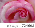 春の薔薇　初恋　旧古河庭園