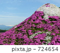 青空バックで花富士