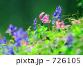 春の木漏れ日の中で・・・