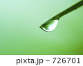 葉 エコ エコロジー