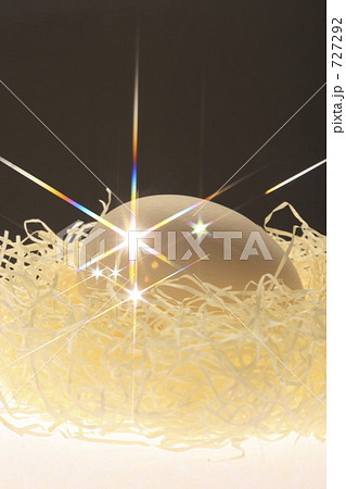 「鳥の巣」の写真素材 「鳥の巣」の写真素材