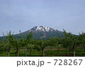 りんごの木と岩木山