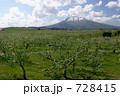 ５月のりんご畑と岩木山　弘前市