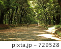 神宮の杜の朝