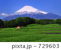 mt223-3155 mt223-3155